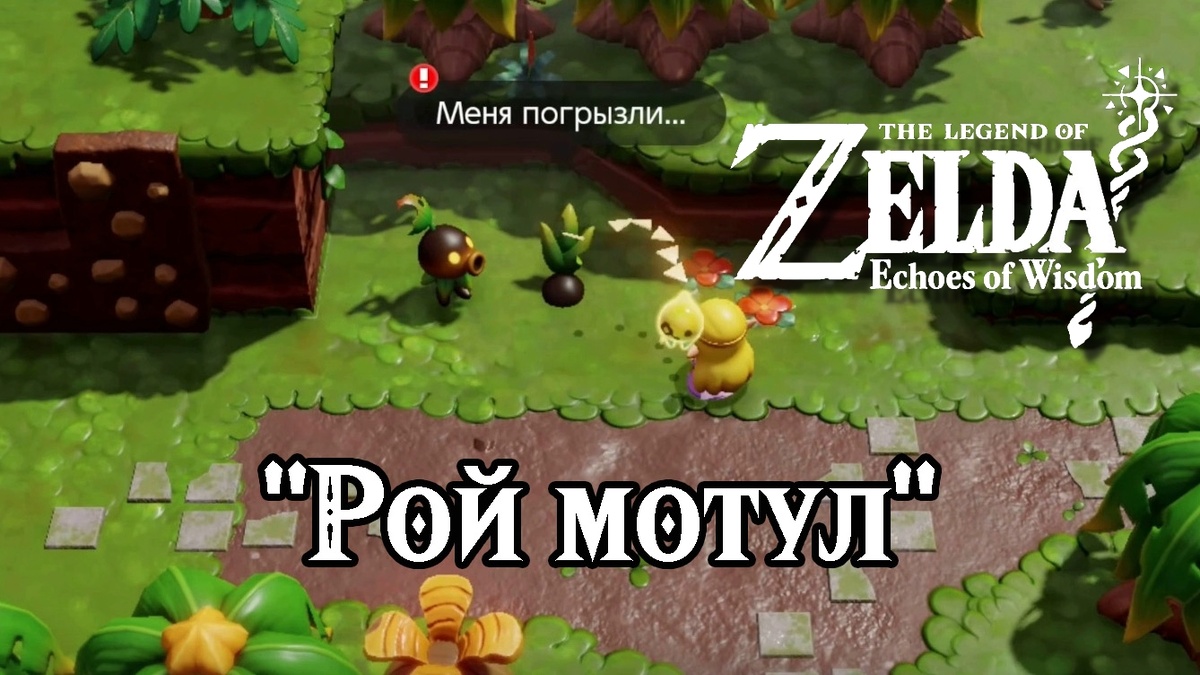 Дополнительное задание "Рой мотул" в игре "The Legend of Zelda: Echoes of Wisdom"