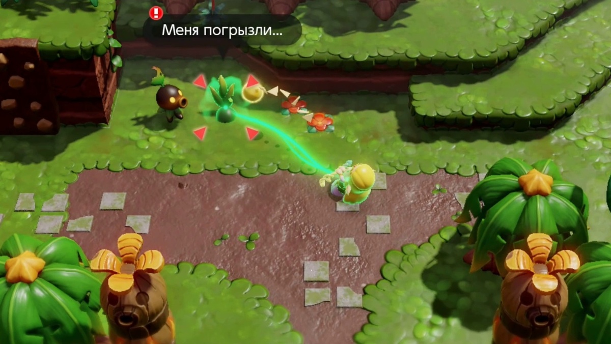 Деку с обкусанными листьями