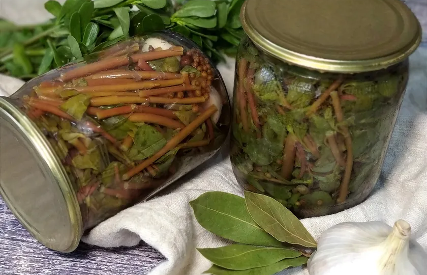 Маринованный портулак (дандури)
