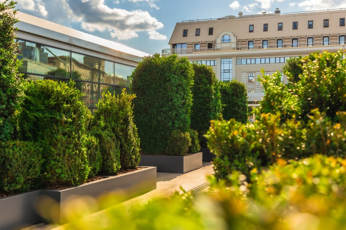   Департамент торговли и услуг мэрии Москвы