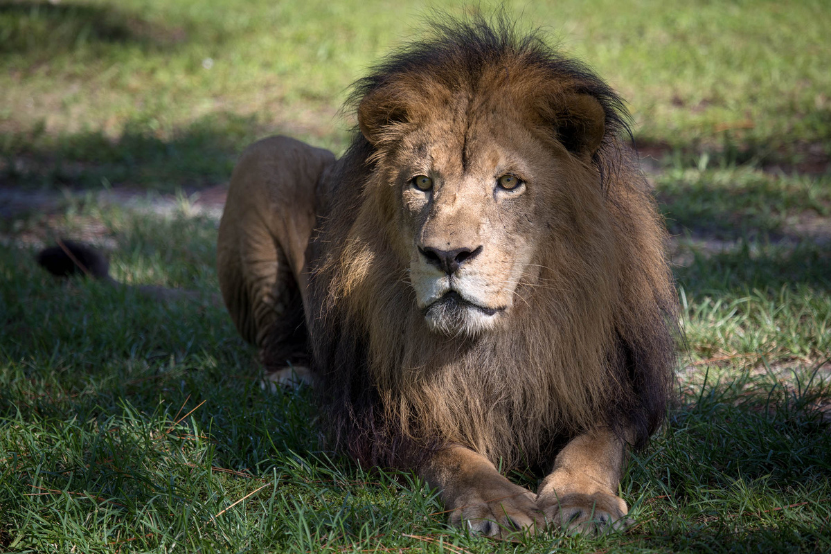 Allen Eyestone / ZUMAPRESS.com /  Global Look Press