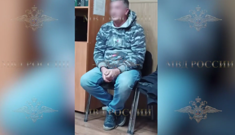    Фото: скрин видео ГУ МВД России.