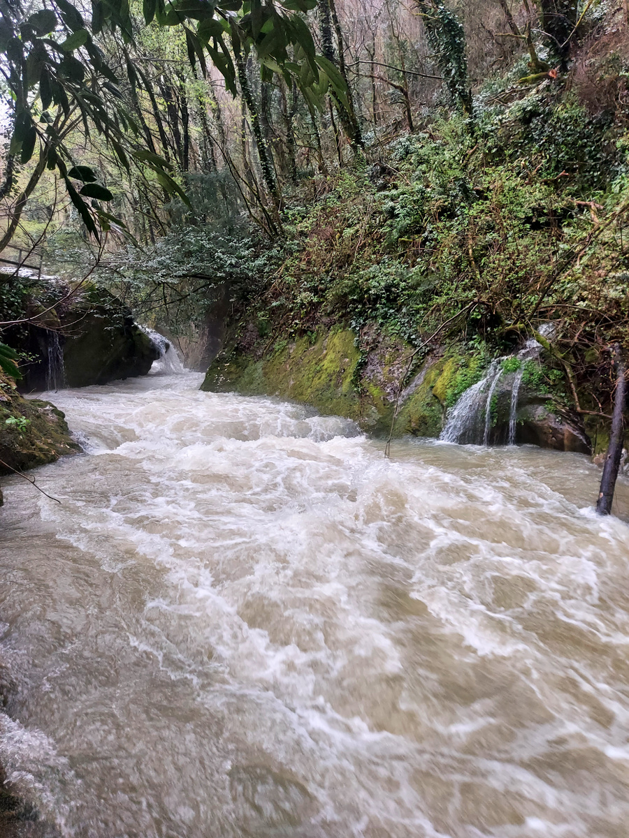 Черниговка Абхазия 