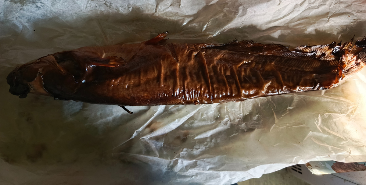 Копченый сом)))