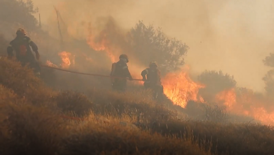    Скриншот видео Reuters
