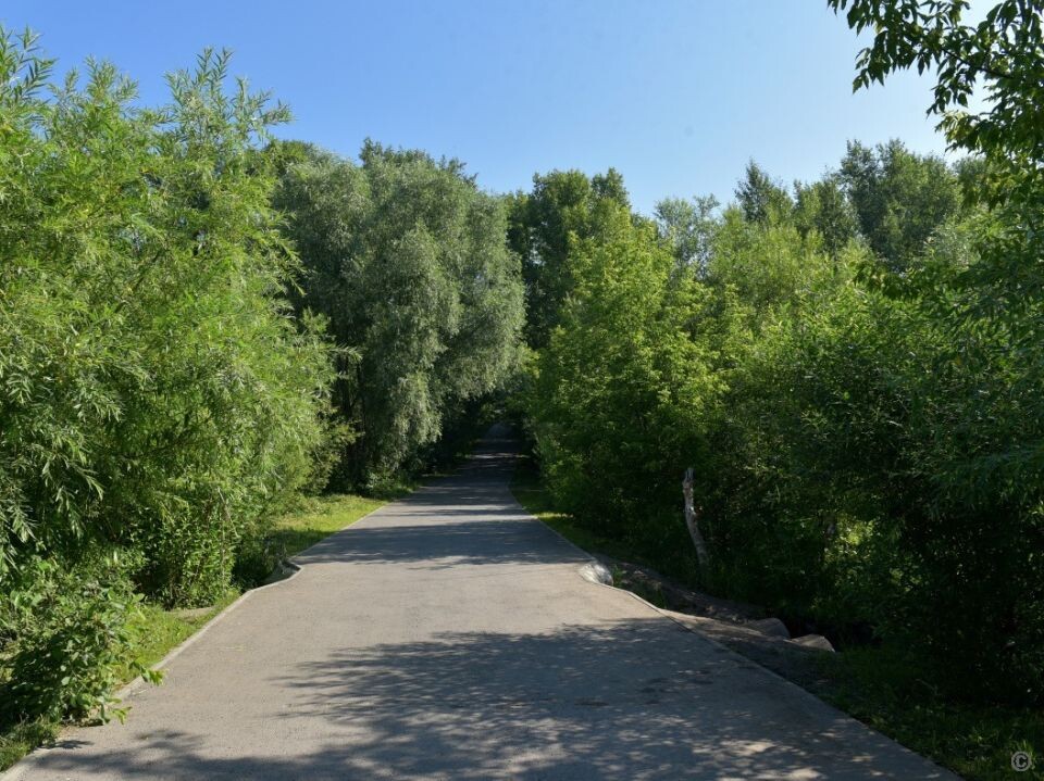    Парк "Юбилейный". Источник: barnaul.org