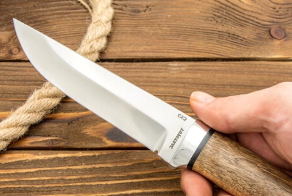 Фото ножа с сайта https://www.zlatmax.ru/nozh-lisa-110h18m-shd-oreh-alyuminiy.html