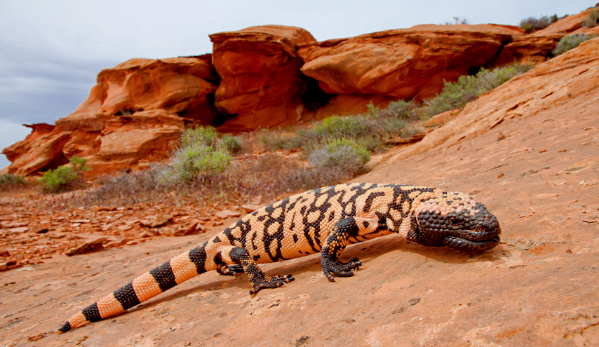 Снимок: playground.ru