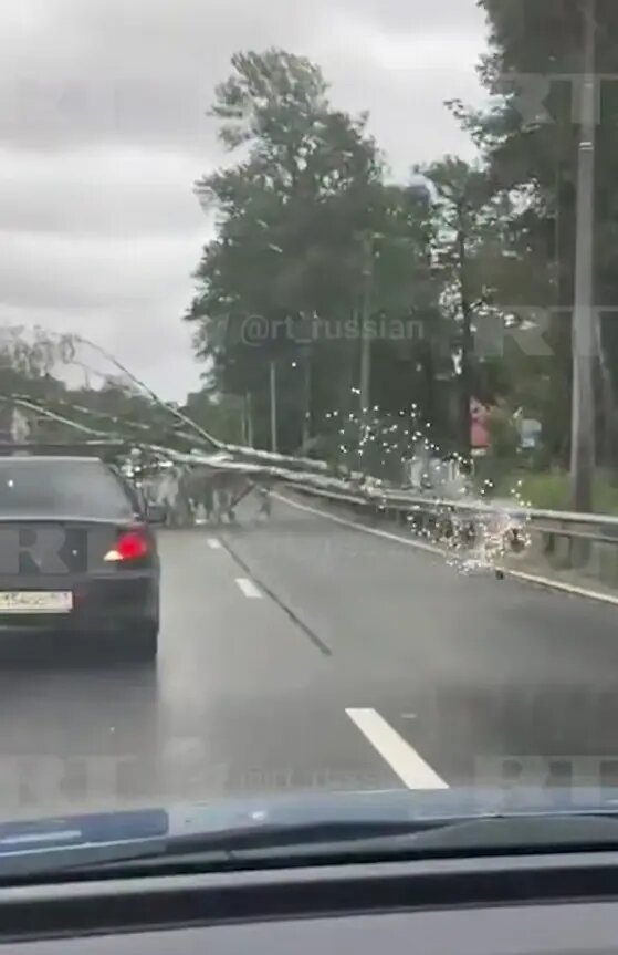    Фото: стоп-кадр видео RT