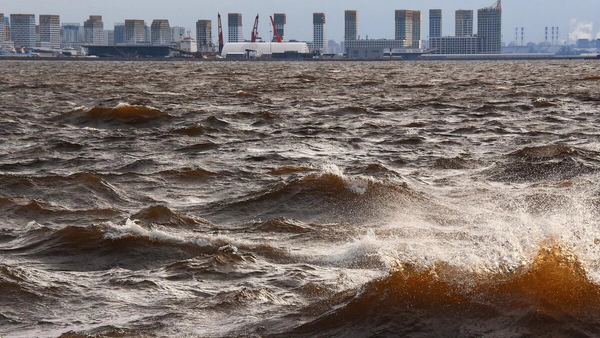   Надежда Буаллаг / Коммерсантъ