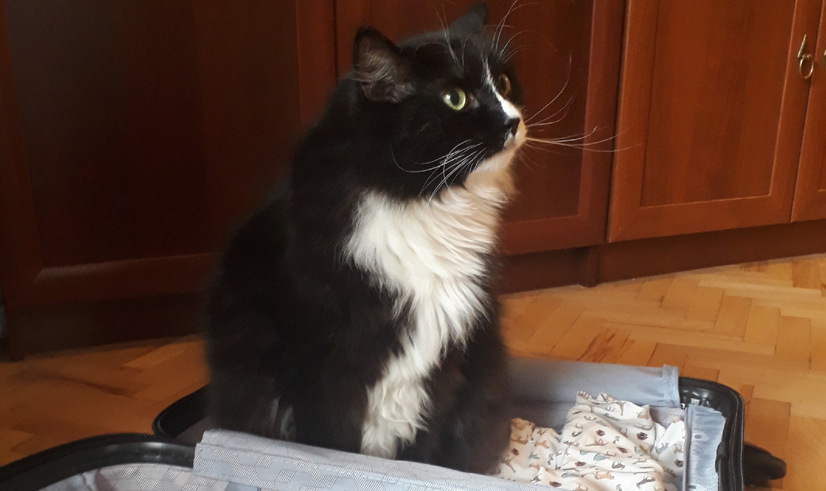 Нам надо серьезно поговорить. Куда опять свои МятНые кеды навострила?