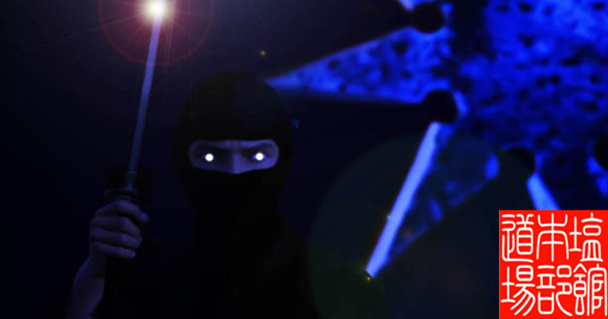 Ниндзюцу Шиокан. Shiokan ninjutsu, Ninja. Ниндзя.