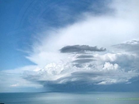    Фото: соцсети