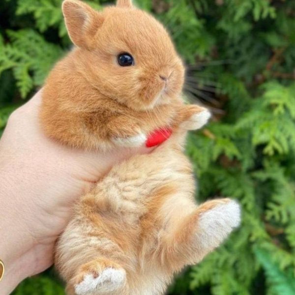 Наша связь начинается с имени. Знакомьтесь, это Мила.