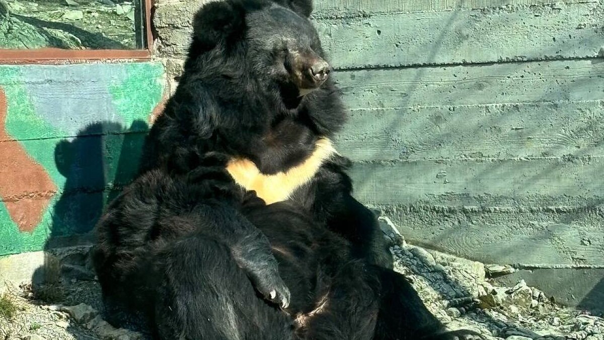    Фото: телеканал «Краснодар»