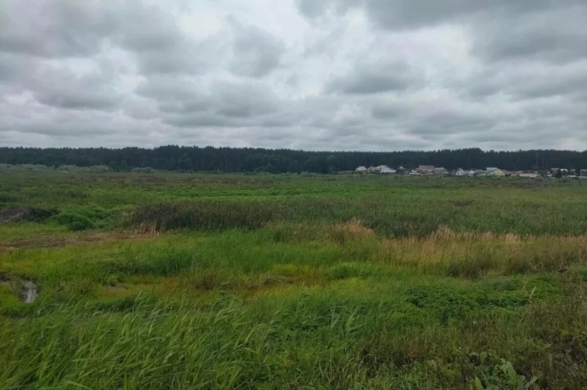    В Мулловке откроют новый завод: жители беспокоятся за Красотку