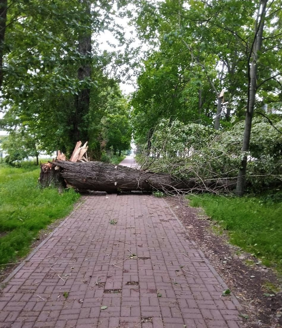    Фото: vk.com/kb_spb?z=photo-157028191_457303955%2Fwall-157028191_152893