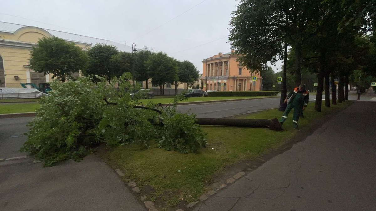    Фото: vk.com/kb_spb?z=photo-157028191_457303955%2Fwall-157028191_152893