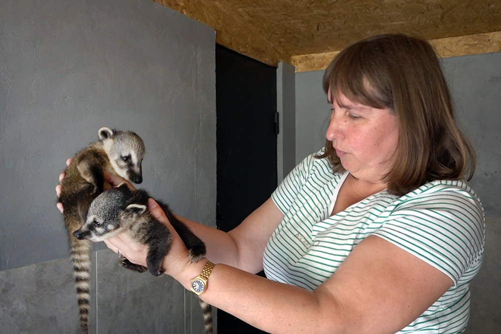    ©АО "ТВ Центр"