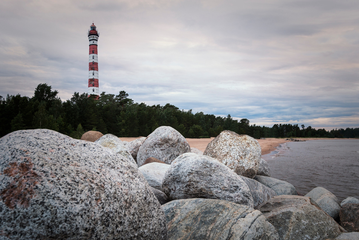 Фото из интернета