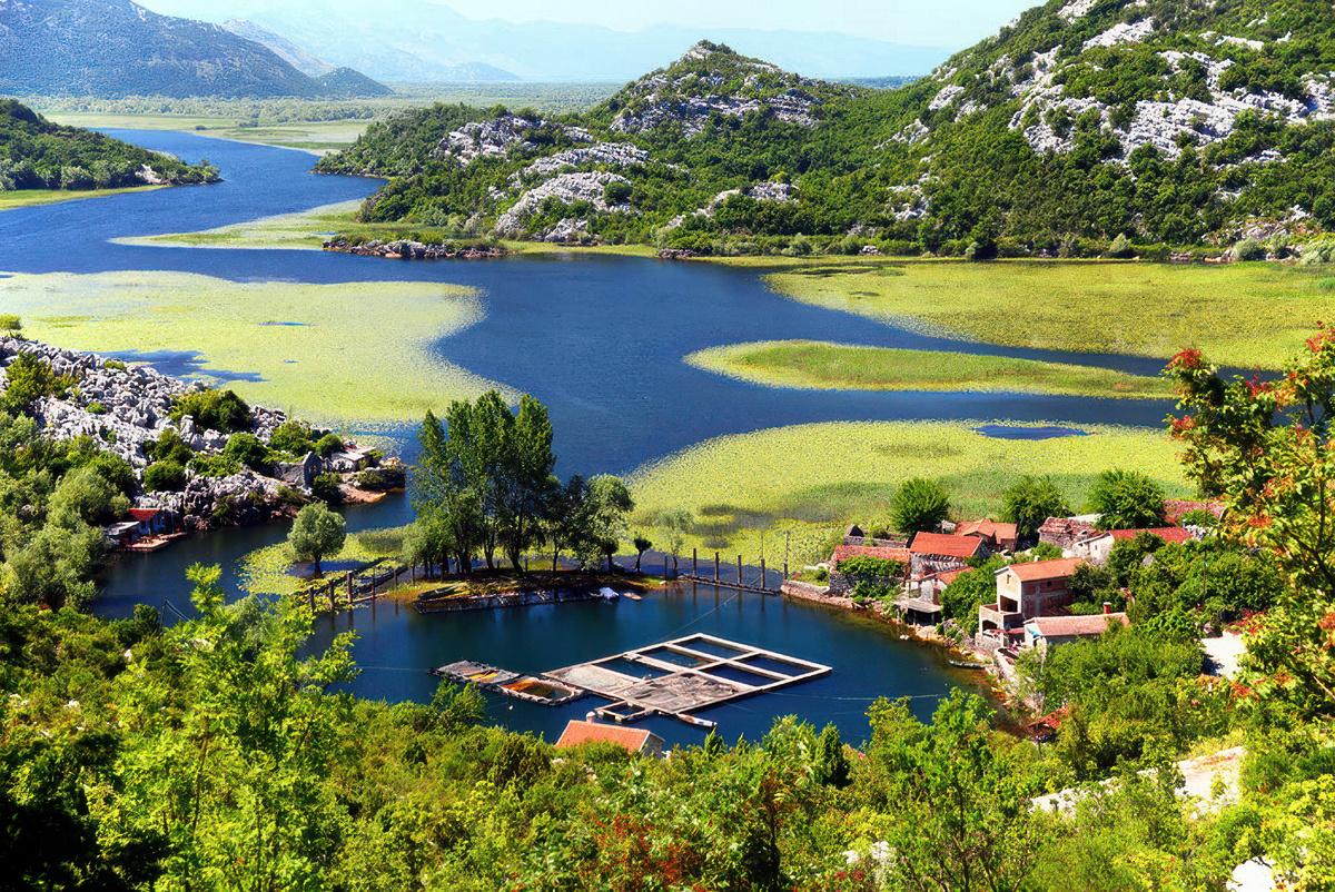 © Montenegro Pulse | Скадарское озеро, Черногория