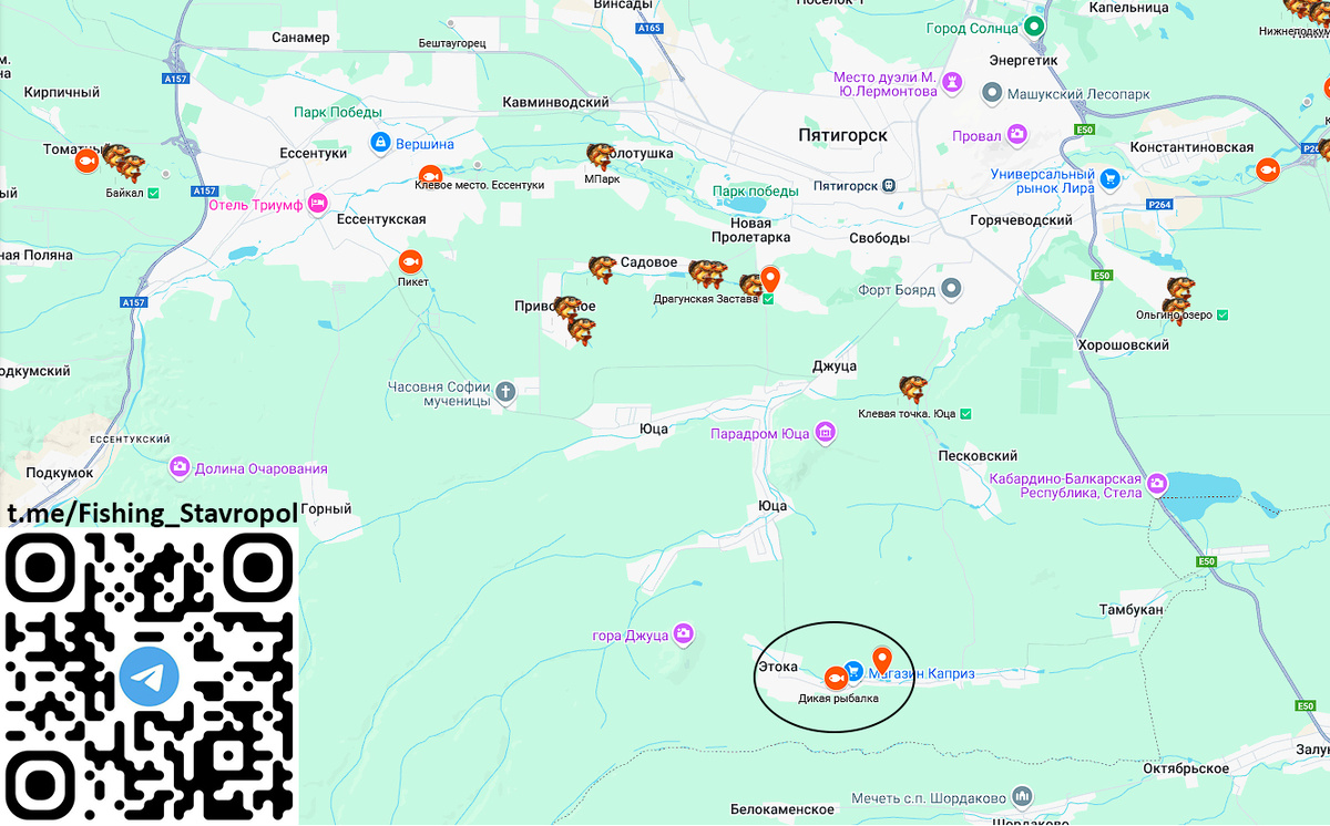 Платная рыбалка ДИКАЯ РЫБАЛКА