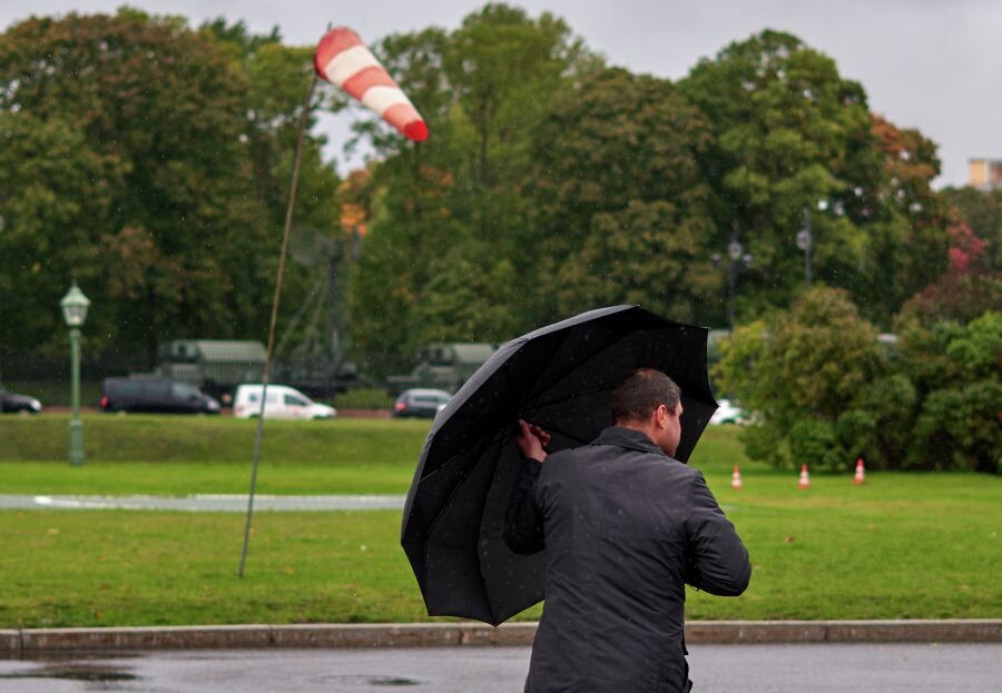     / Источник: © Алексей Даничев/РИА Новости