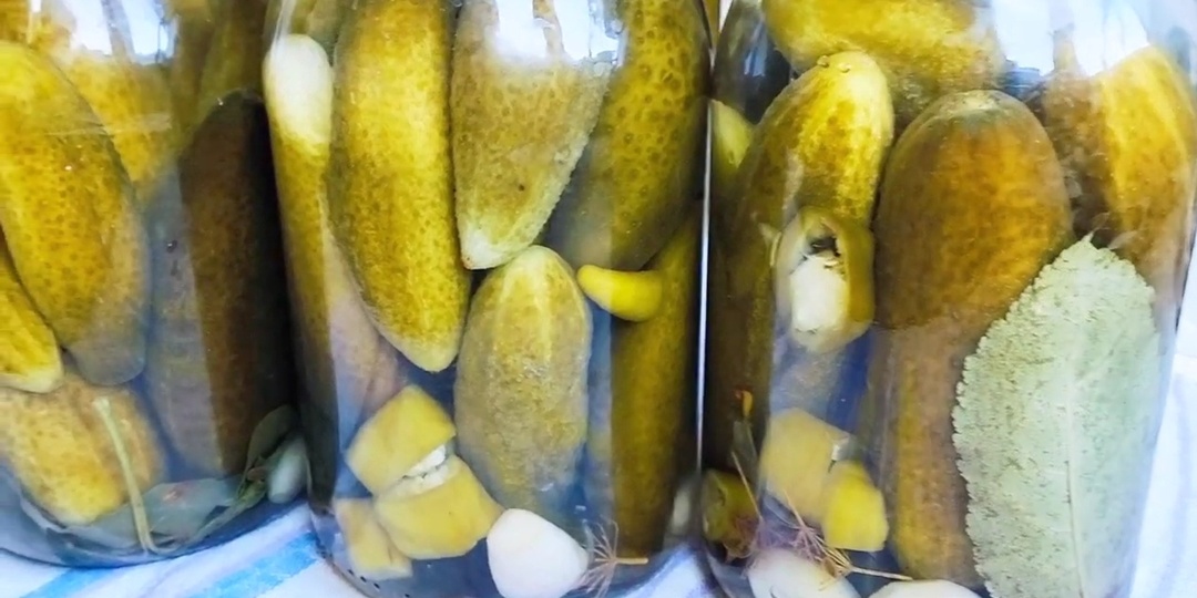 Волшебный рецепт соленых огурцов! Как бочковые, хранятся в квартире!