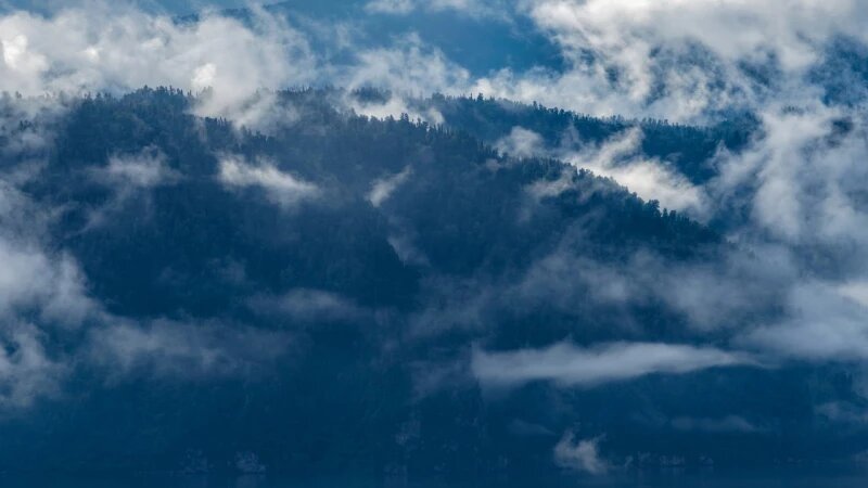     Туман простирается над гладью Золотого озера и вдохновляет на создание шедевров. Роман и Татьяна Воробьевы