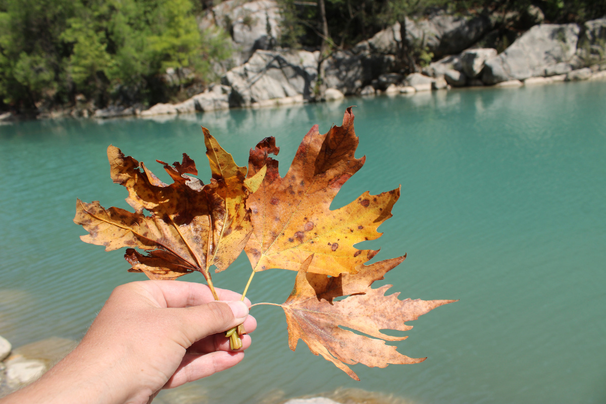 Листь желтые над Турцией кружатся...