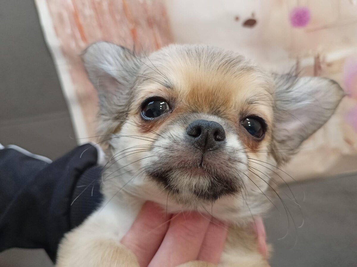 В этих глазах — целая вселенная. И она заслуживает особенного имени.