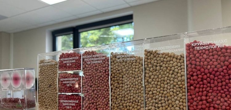    Фото: Правительство Курской области