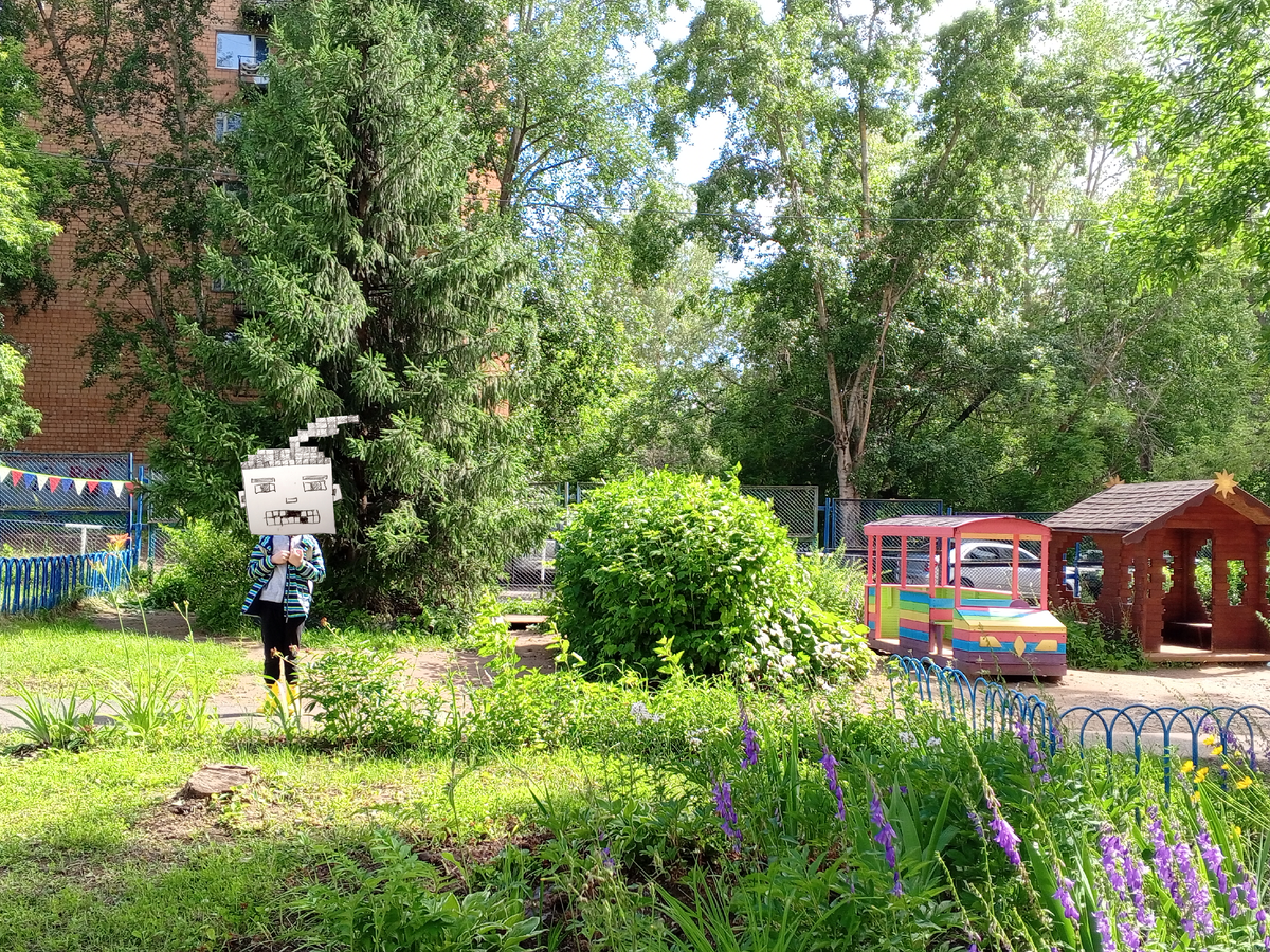 Сёмка-Майнкрафт на новом участке