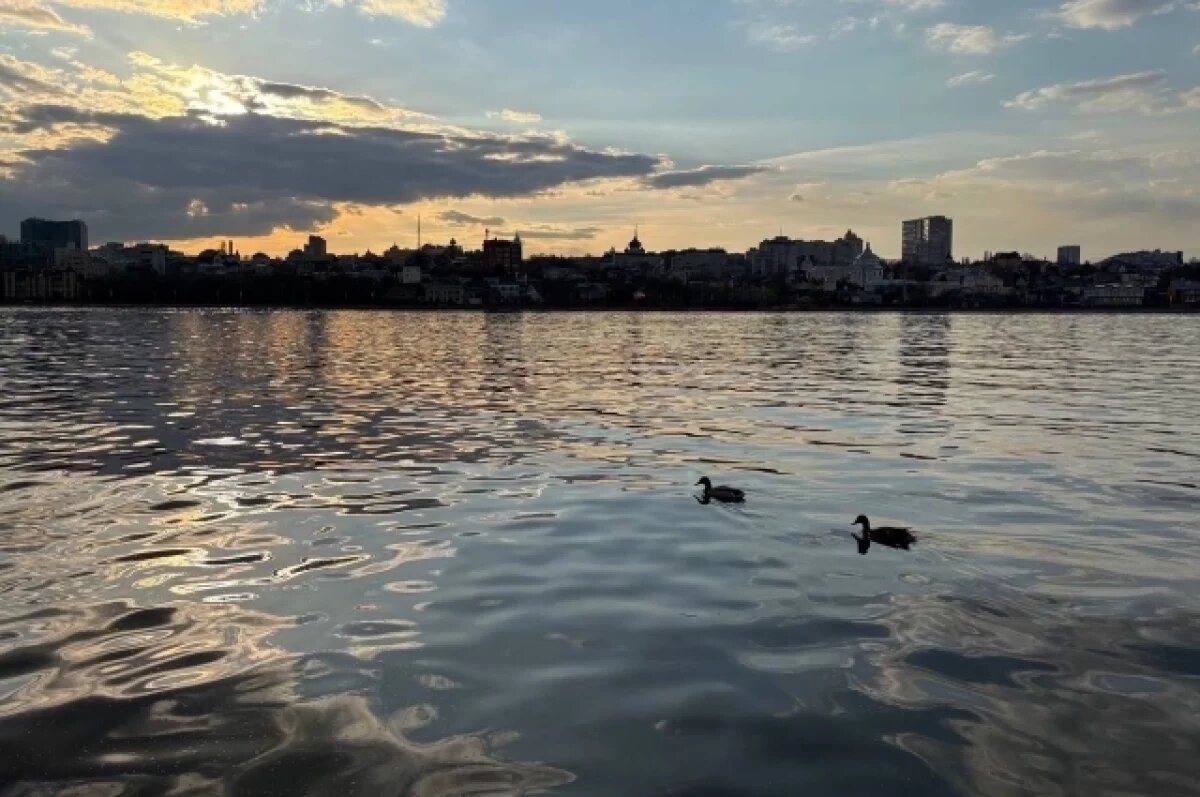    Опасные бактерии нашли в воде на трёх пляжах Воронежа