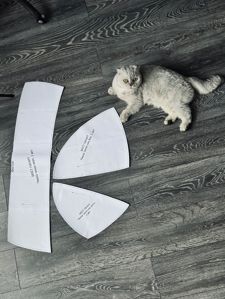 Выкройка чашки гигантского бюстгальтера