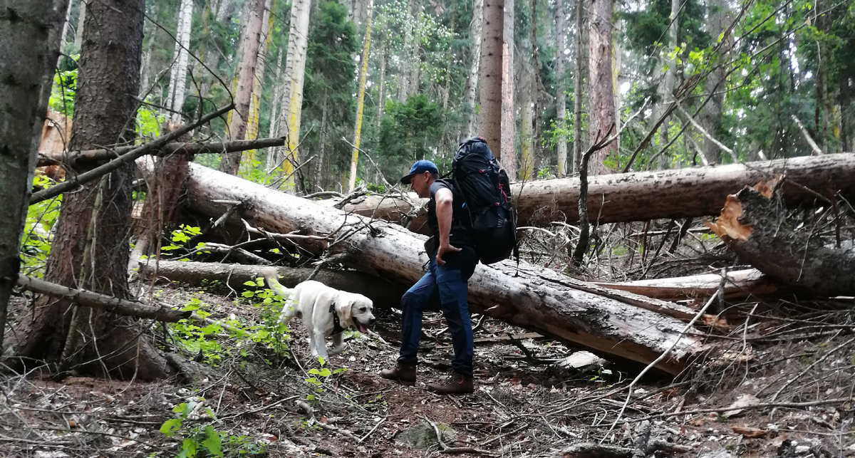 Дорога не простая с самого начала.