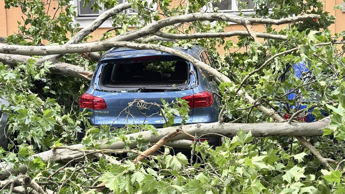    Фото: Kathrin Deckart/globallookpress.com