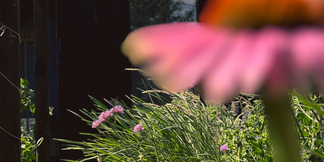 Как сделать красивый сад без больших трудозатрат?