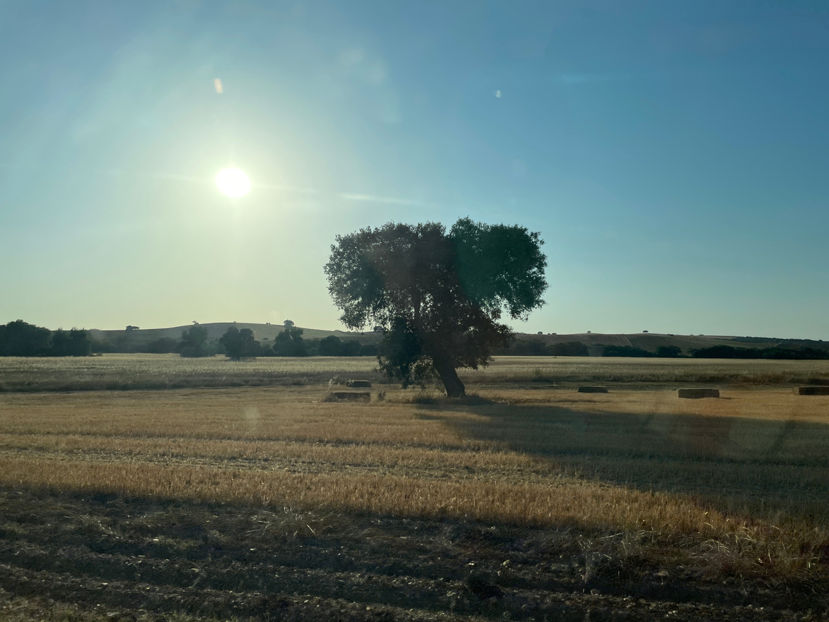 После дневной жары, +35 считается здесь "вечерной прохладой"