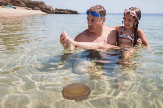    После того как вы столкнётесь с медузой и её яд попадёт на кожу, первым признаком будет зуд, который в скором времени перерастёт в сильную боль.