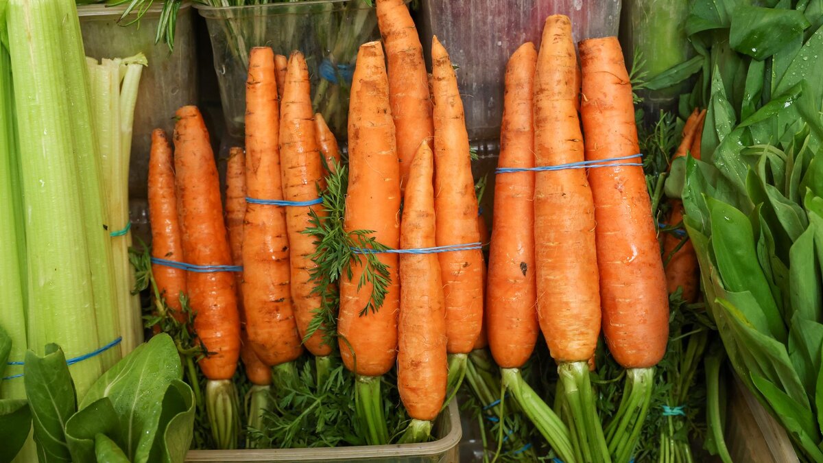 Фото: Petrov Sergey/news.ru