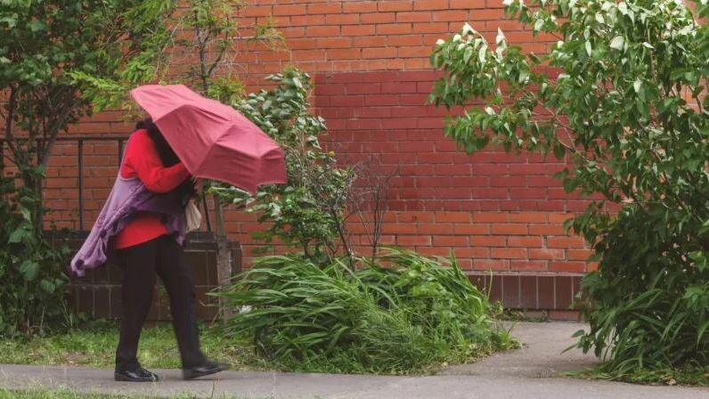    Фото: Popovphoto/Shutterstock/Fotodom