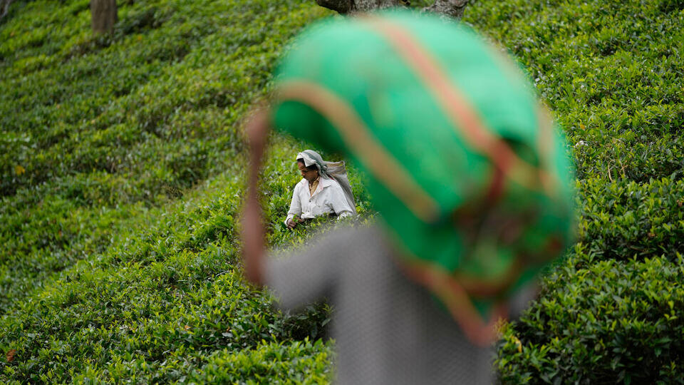 Фото: © Eranga Jayawardena/AP/TASS