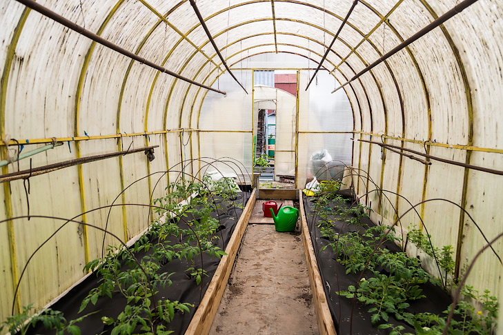    Фото Андрея Заржецкого