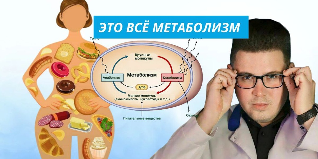 Как вернуть телу способность сжигать жир: правда о метаболической гибкости