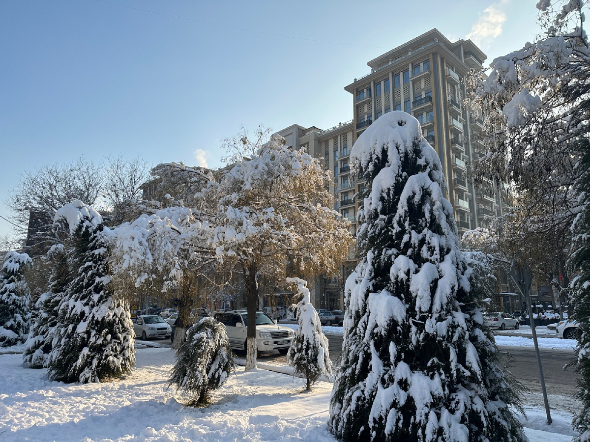 Январь 2023 в Ташкенте. Температура опускалась до минус 25. 