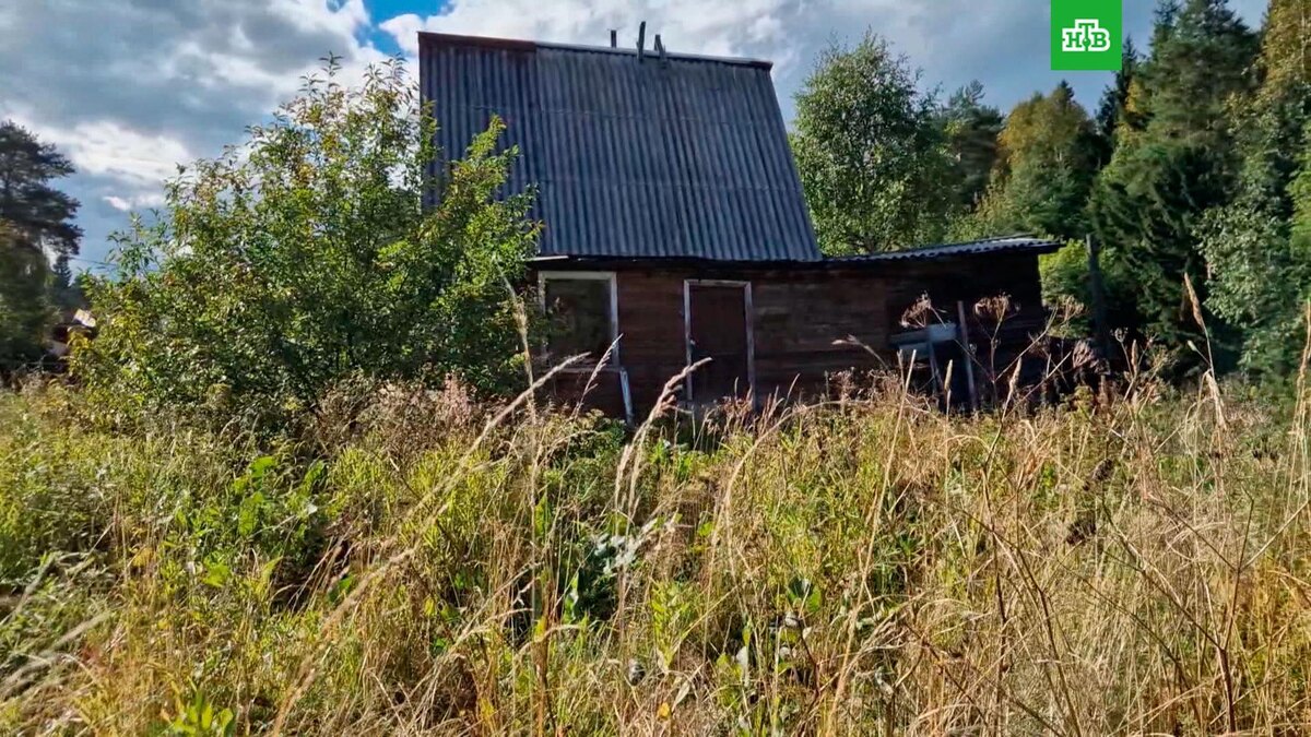    Правительство утвердило признаки неиспользования земельных участков