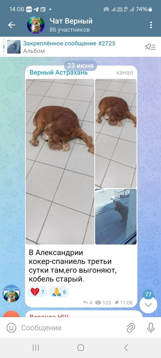 Вот такой пост мы увидели в волонтерской группе