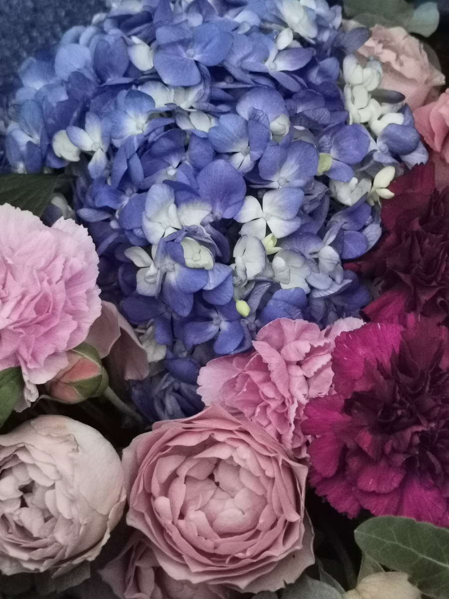 Розы, гвоздики, гортензия 