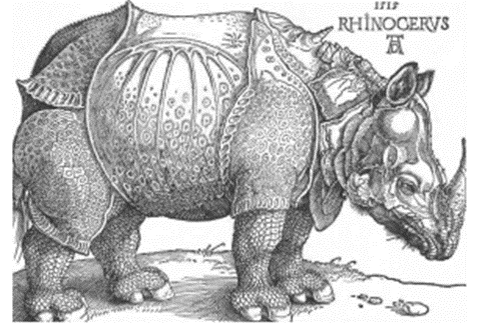 Альбрехт Дюрер. Носорог. Британский музей. Лондон. 1515